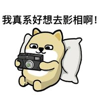啊鱼不是摄影师