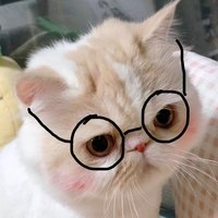 万能的小丸子啊