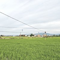 有氧青年