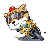 华尔街之狗