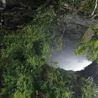 东郭先生和你