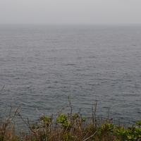 王恩阳