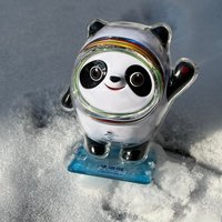 叶舞