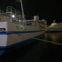 张晴哟哟