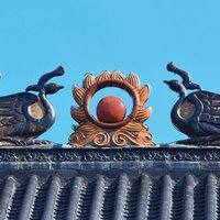 不懂1