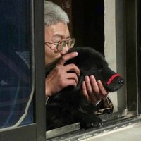 梦中舞蹈家