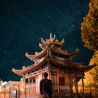 問君何能爾