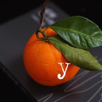 只言片语_杨玉