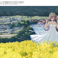 绝对领域_袜子