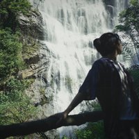 柿子菌是也