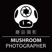 蘑菇摄影大凯