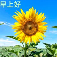 俊文589