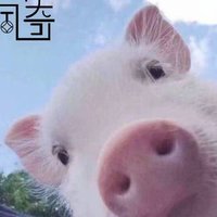 一只佩奇