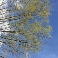 暴走南山