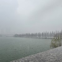 低調的武林高手