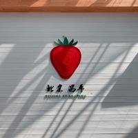 摄影师155308203330074