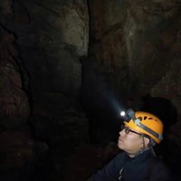 豫郑林