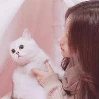 寻寻觅觅觅知音