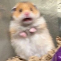 摄影师155342395702393