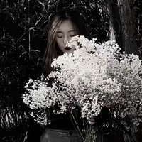 狗旺财