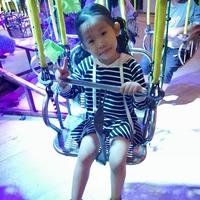 A0淘宝园厂家直销