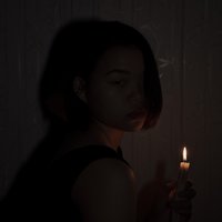 一只杨啊