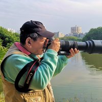 用户hailiang海量
