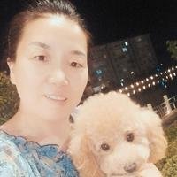 创作者155385539026372