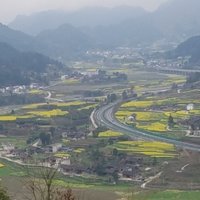小蜜蜂爷爷