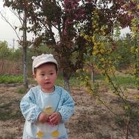 摄影师155392318825796