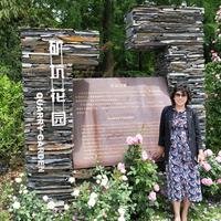 摄影师155408968842746