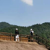 大董小董