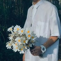 全世界最好的佳妮