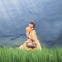 阳光未必暖人心955