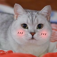 开普勒2B星人