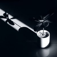 天三TT
