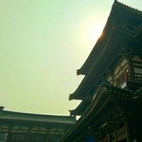 摄影师155469944902225