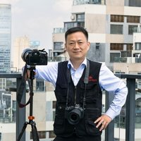 尘光疏影