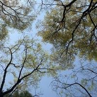 嗲囡乐乐