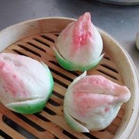 摄影师155494944501717