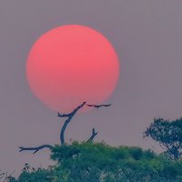 时川