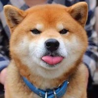 西直门绿豆面煎饼摊