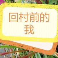 梦幻里的童话