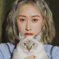 有点意思的Jing