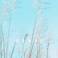 梦想养二哈