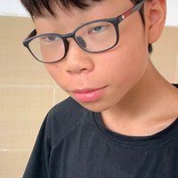 照啊李飞