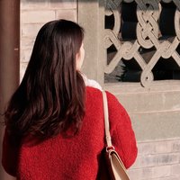 随风入海