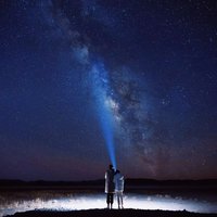 羊一禾禾禾
