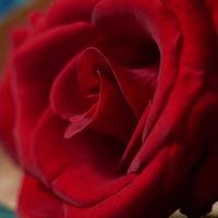 parckle