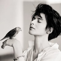 Ltb李太白